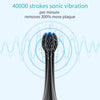Electric Toothbrush,2 DuPont Brush Heads